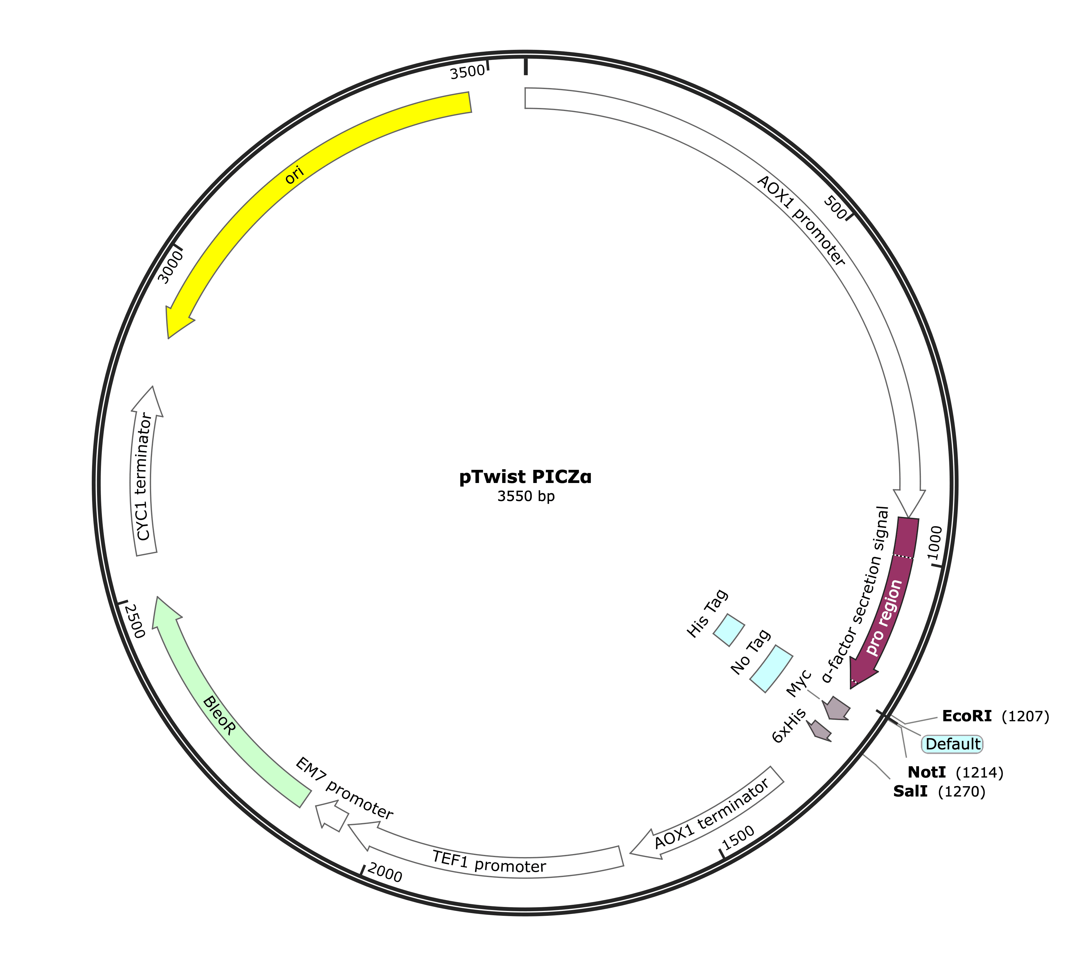 pTwist PICZα Full Size Vector Map